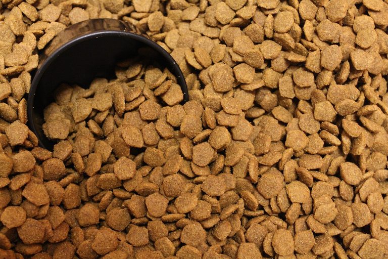 How to read feed labels like an expert