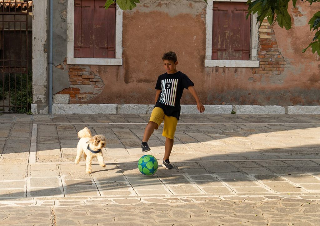 Perros y niños: claves para una convivencia segura y feliz