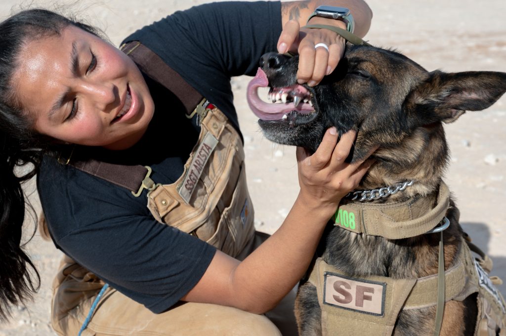 El ‘suelta’: enseña a tu perro a soltar cualquier cosa