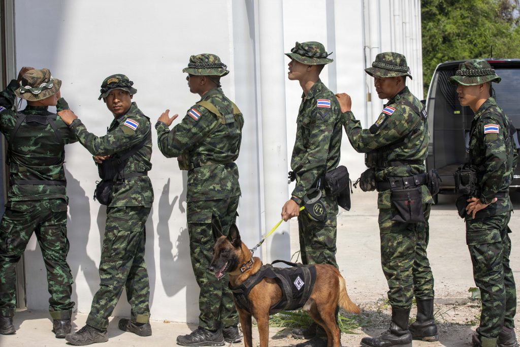 Fiebre en perros: cómo medirla y cuándo preocuparse