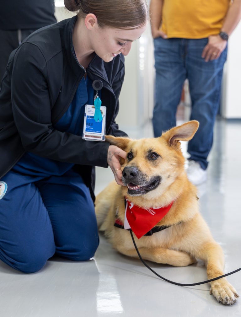 Fisioterapia canina: cuándo ayuda de verdad