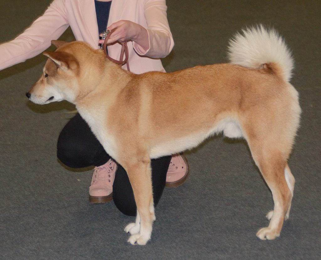 Das ist Shikoku.